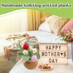 DIY Tricô Ferramentas para Iniciantes, Ferramentas De Material De Tricô, Enchimento De Fios Para Decoração De Casa, Artesanal Em Vaso De Crochet, Flores E Plantas - Image 6