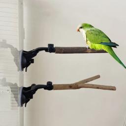 Stand Wood Poleiro para Papagaio, Ventosa, Pássaro Poleiros, Birdcage Acessórios, Brinquedo, Novo - Image 1