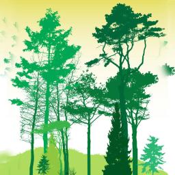 Selos claros de animais da floresta selvagem, coleção de silhuetas para Scrapbooking DIY, artesanato de cartão decorativo, suprimentos divertidos - Image 2