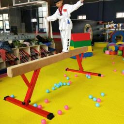 Feixe De Equilíbrio De Ginástica Ajustável, Equipamento De Ginástica, Venda Quente - Image 6