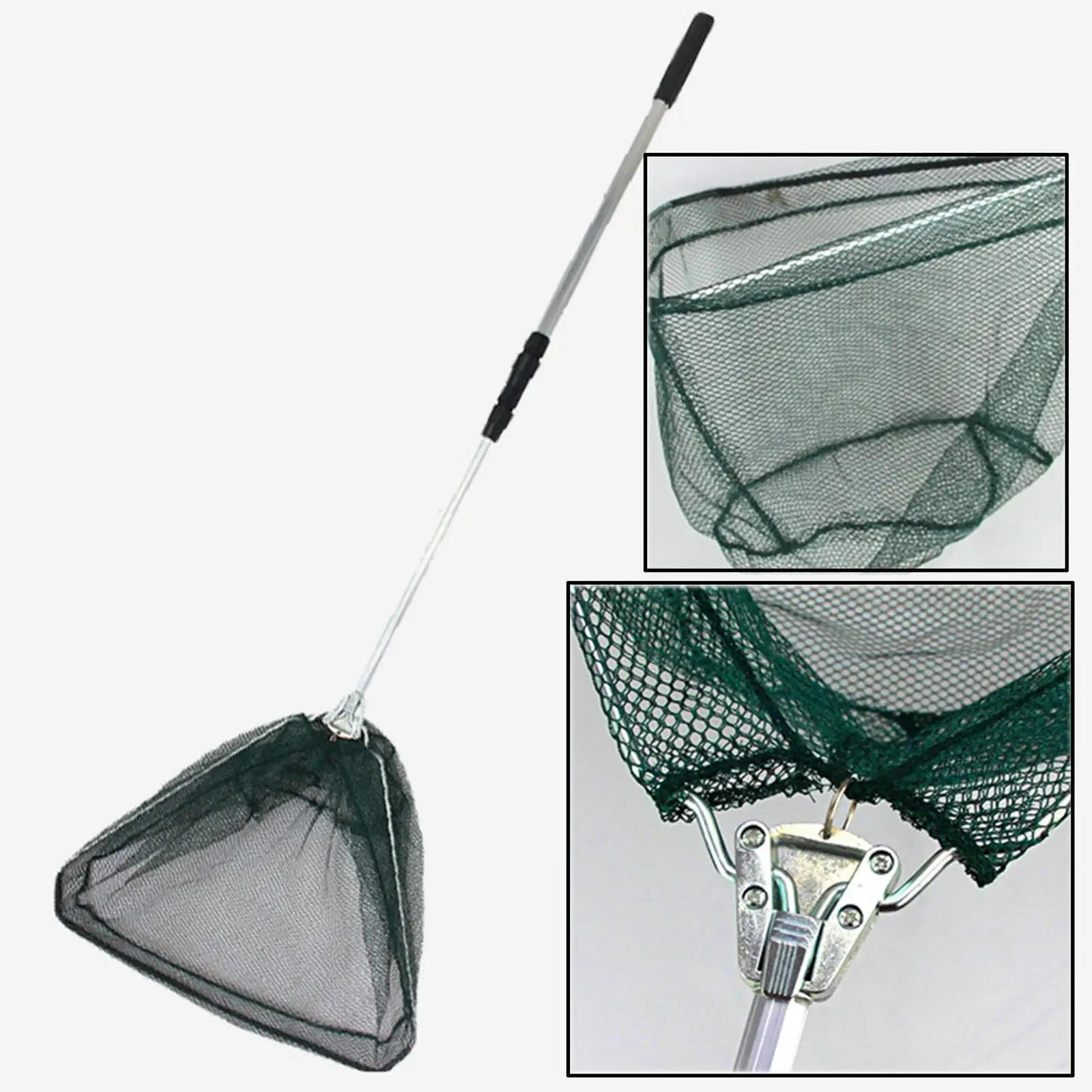 Selecionador De Bola De Tênis com Haste Telescópica Ajustável, Equipamento De Tênis De Mesa - Image 1