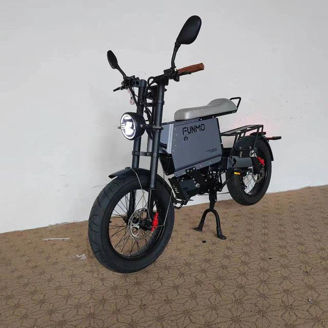 Bicicleta Elétrica Mountain Bike 1000W 40Ah Freio Hidráulico Suspensão Total