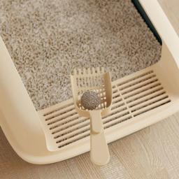 Caixa de areia para gatos, tamanho pequeno, anti-respingos, caixa de areia para animais, bandeja para gatinhos - Image 5