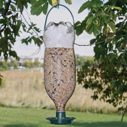 Reciclar Vazio Soda Garrafa Top Bird Feeder, Bandeja de alimentação automática, Alimentação suspensa ao ar livre - Image 4