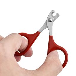 Profissional Cat Nail Scissors, Pet Dog Nail Clippers, Toe Garra Trimmer, Pet Grooming Suprimentos, Pequenos Produtos, Gadgets Do Cão - Image 4