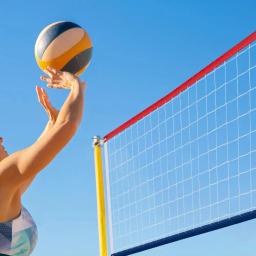 Rede profissional de voleibol para interior e exterior, corda alongada, jogo de praia, demarcação fronteira, quintal, piscina - Image 4