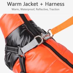 Casaco impermeável com arnês para cães pequenos e médios, roupas quentes para cães, pet coat chihuahua, traje de buldogue francês, inverno - Image 4