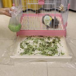 Tapete De Fraldas De Plástico Descartável Para Animais Pequenos, Filme Universal De Banheiro, Rabbit Cage Liner, Coelho Mat, Substituição, 4 Tamanhos, 50Pcs - Image 5