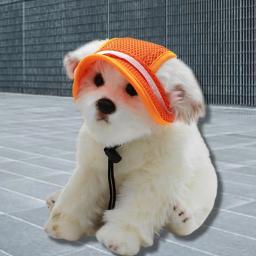 Bonito cão gato protetor solar Cap, Atraente decorativo Pet Sun Hat, Headwear leve respirável, Produto Pet - Image 3