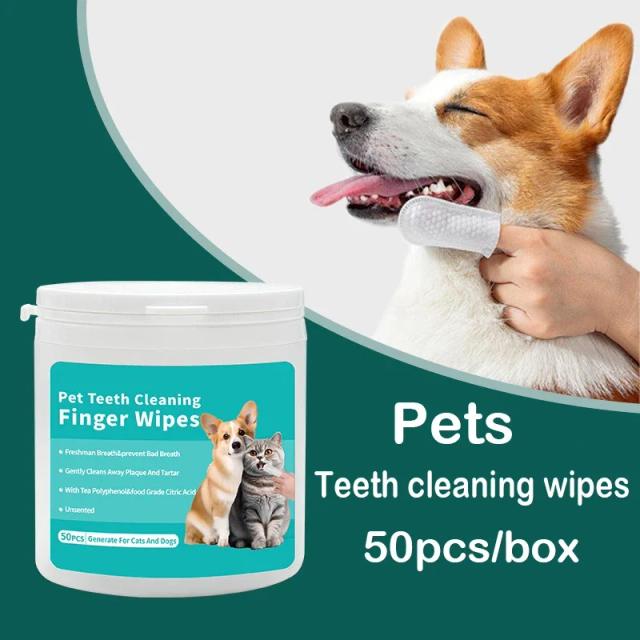 Escova de dentes descartável e toalhetes úmidos para cuidados orais de cães e gatos