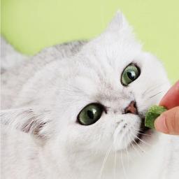 Congelar a grama seca Snack para Pet, peludo Hairball Peças, grama Biscoitos, Pet Limpeza, Row Snack, Peças - Image 5