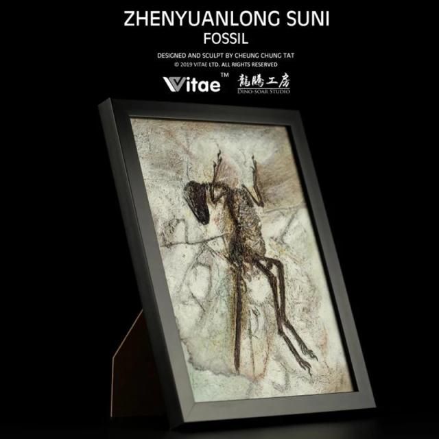 Coleção Original de Fósseis de Dinossauros Jurássicos: Modelo Zhenyuanlong Suni para Decoração de Parede
