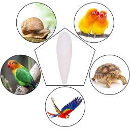 Bone Cuttle Fish Bird Food Pick Stone Pet Parrot Cálcio Suplementos Mastigar Chocos Osso Pet Bird Cage Food Decoration - Image 6