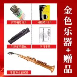 Littlesax bolso saxofone, instrumento musical com saco, palhetas - Image 6