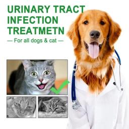 Pet UTI Poderosas Gotas de Bexiga, Cuidados Urinários, Suprimentos Multifuncionais para Tratamento Cranberry, Cães e Gatos, 60ml - Image 4