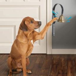 Profissional alto claro bronze campainha formação com parafusos, sino pendurado para cães potty, Pet fornecimentos - Image 4