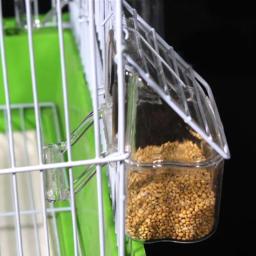 Alimentadores pássaros para gaiola, recipiente alimentos plástico capacidade, caixa transparente com poleiro - Image 3