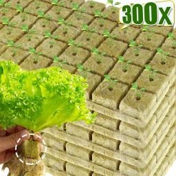 Stonewool Hidropônico Crescer Cubos De Mídia, Plantio De Mudas, Substrato De Bloco, Plugue De Esponja Semeado, Ferramentas De Jardim, 50-300Pcs - Image 1
