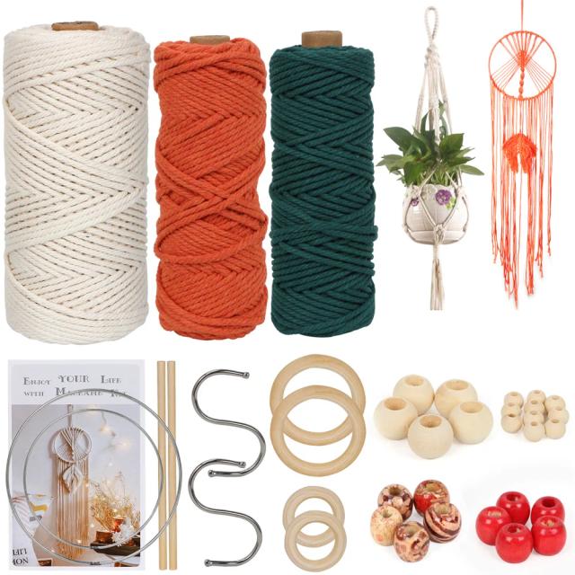 Kit de Artesanato em Macramé para Iniciantes - Suporte para Plantas com Corda de Algodão Colorido, 100m para Projetos DIY