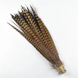 Penas naturais de feisão para artesanato, decoração de penas grandes, extensões de roupas na cabeça, plumas de carnaval, 10-75cm - Image 3