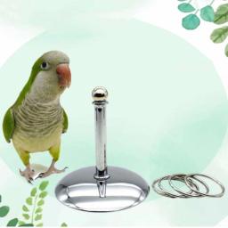 Pássaro Papagaios Brinquedos De Treinamento interativo, Desenvolvimento De Inteligência, Empilhamento Anel De Metal, Conjuntos De Treinamento, Aves Suprimentos, Pet Acessórios - Image 3