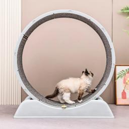 Circular circulação gato esteira, exercício de fitness, roda silenciosa, gatos correr, brinquedo do gato, roda para gatos, Pet fornecimentos - Image 2