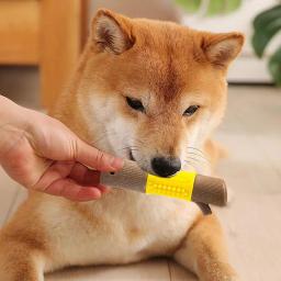 Portátil interativo Pet dentição brinquedos para cães, mastigadores agressivos, pequenos animais de estimação, amantes cães - Image 3