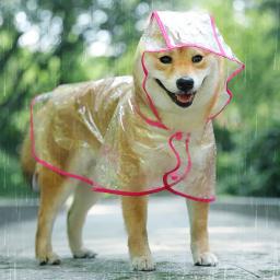 Impermeável transparente para cães, roupas para animais, casaco impermeável, jaqueta PU, poncho, capa para cães pequenos e médios, impermeável para cachorros, moda - Image 2