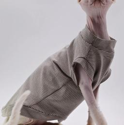 Confortável e durável colete gato para Sphynx e gato sem pêlos, roupas de verão gato para Devon Rex, Cornish, pequenos gatos e cães - Image 3