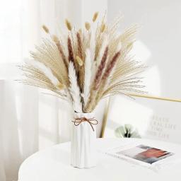 30 pçs flores secas natureza fofo pampas grama para festa de casamento decoração coelho cauda de coelho canas flores artificiais decoração de casa - Image 5
