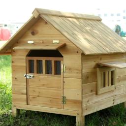 Outdoor Villa Casa para cão grande, Cage Products, Casa para cães, Casa Suprimentos, RR50HK - Image 3