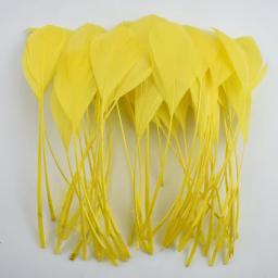 100 pçs/lote colorido ganso pena decoração decorações artificiais preto gansos penas festa jóias artesanato acessórios plumas - Image 4