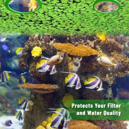 Anéis alimentação para aquários, aquários seguros, suporte eva para alimentos, suprimentos para peixes 80/200mm b03e - Image 6