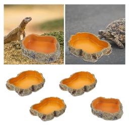 Réptil Água Tigelas Terrário Decorativo, Tigela De Alimentação De Resina para Sapo Tartaruga Tartaruga Leopardo Gecko - Image 4