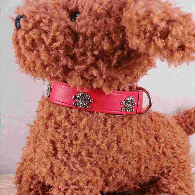 Colar Ajustável Preto com Crânio para Cães e Filhotes - Acessório Halloween para Animais de Estimação