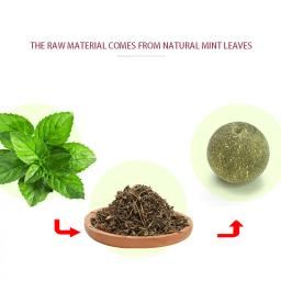 Gatos catnip gato brinquedo bola natural remoção gato grama trata para melhorar a digestão adesivo de parede zero coceira tratar saudável supplie - Image 2