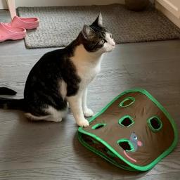 Esteira De Brinquedo Interativo Com Buracos, Túnel De Gato Dobrável, Tapete De Jogo De Atividade, Treinamento Arranhando, 9 Buracos - Image 4