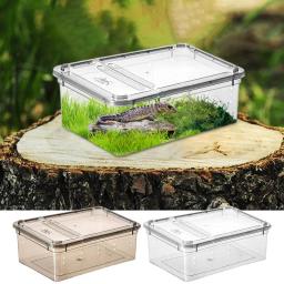 Terrário de plástico transparente para répteis, transporte de insetos e répteis, reprodução de alimentos vivos, caixa de alimentação - Image 1