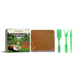 Natural fibra de coco do solo para réptil, terrário para tartaruga e lagarto, cama inferior, suprimentos réptil, Q3Y2 - Image 5