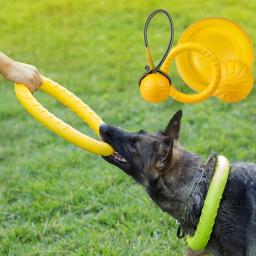 Discos de vôo do animal de estimação brinquedo eva treinamento cão resistente mordida flutuante brinquedos filhote cachorro interativo silicone jogo suprimentos para dropship - Image 1