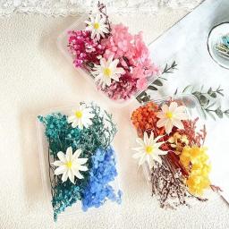 Pacote de Material Artificial Flor Seca, Materiais Florais DIY, Flor Eterna, Artesanato, Decoração De Festa De Casamento, Curso De Arte Flor - Image 4