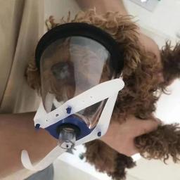 Pet Breathing Mask para Anestesia Animal, Kit para Gato, Cão, Pássaro, Cobra, Rato, Oxigênio, Onalação, Atomização, Clínica, Suprimentos Hospitalares - Image 2