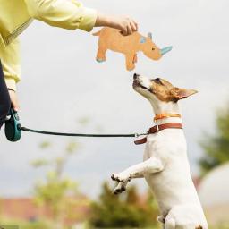 Brinquedos Squeaky interativos para animais de estimação, brinquedos mastigáveis confortáveis, elefante, rinoceronte, suprimentos para cães, casas - Image 4