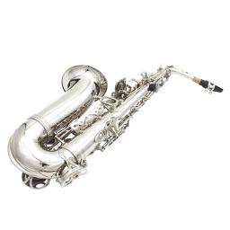 Saxofone Alto SLADE-Eb com Case, Saxofone Alto Eb, E Flat Brass Body, Carved White Shell, Case Strap, Luvas, Reeds Acessórios Set - Image 6