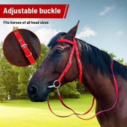 Guia de cavalo ajustável lanffle noseband náilon equino noseband rédeas para mulheres homens macio forrado trilha equitação suprimentos equestres - Image 3