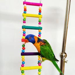 Gaiola Pendurada Colorida para Pássaro Papagaios De Madeira Natural, Ponte De Suspensão, Brinquedos De Balanço, Escadas De Escalada, Suprimentos De Brinquedo De Pássaro - Image 3