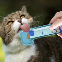 Cat Strip colher alimentação e rega suprimentos, armazenamento de alimentos para animais, Design dinossauro dos desenhos animados, Colher de comida úmida lickable - Image 4