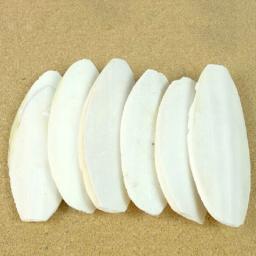 Réptil tartaruga saúde liberação lenta cálcio mineral cuttlefish osso para alimentação de aves aquáticas bloco cuttlebone suplemento de cálcio - Image 3