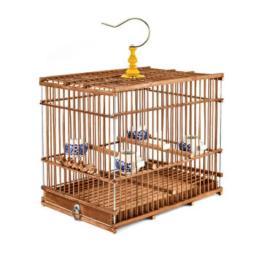 Gaiola quadrada de bambu para pássaro com queixo índigo e bambu - Image 1