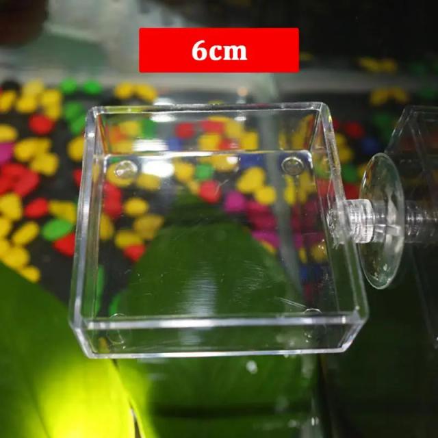 Alimentador Circular Flutuante Transparente para Aquário com Ventosa Ideal para Camarões
